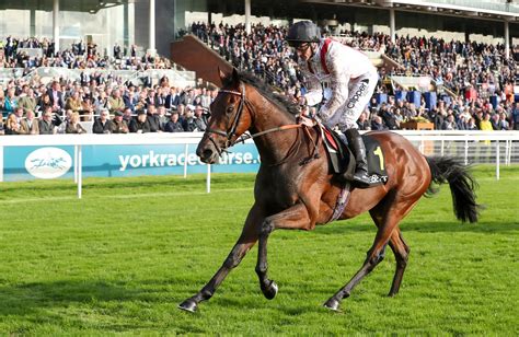 Ascot Racing Results Saturday, 16th October 2021.